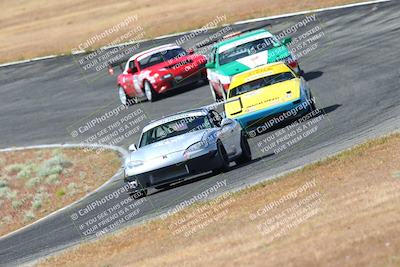 media/May-06-2023-Lucky Dog Racing (Sat) [[8f2256f436]]/Turn 2 10a/